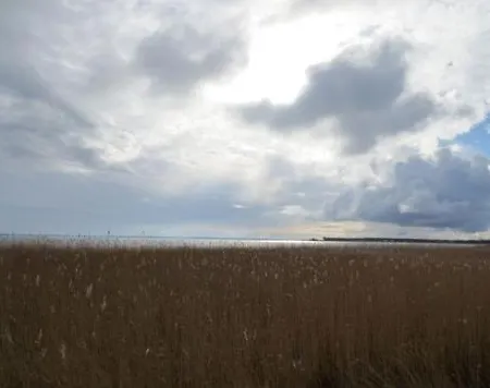 Residenz Am Hafen Boddenkieker Apartment *